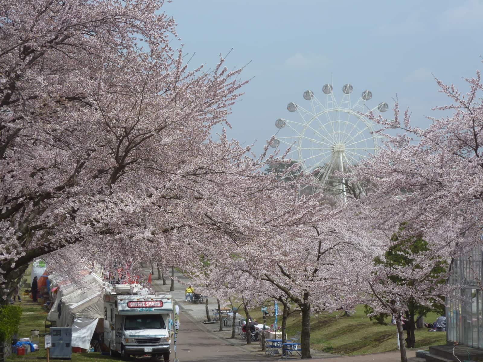 🎠 하치노헤 공원 어린이 나라 (하치노헤 코엔 코도모노쿠니) 이미지 1
